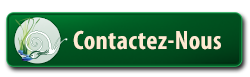 Contactez-nous