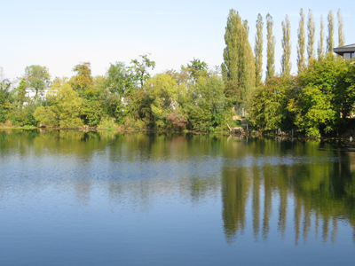 Etang de Naninne