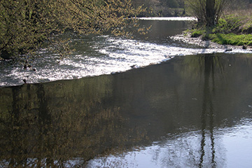 Le Viroin - Olloy-sur-Viroin