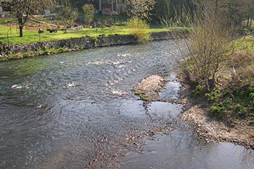 Le Viroin - Treignes