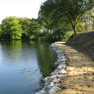 Etang de Naninne